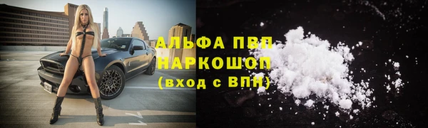 a pvp Гусь-Хрустальный