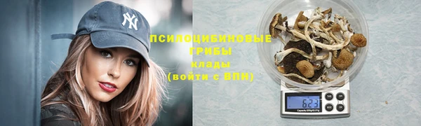 винт Гусев