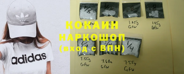 винт Гусев