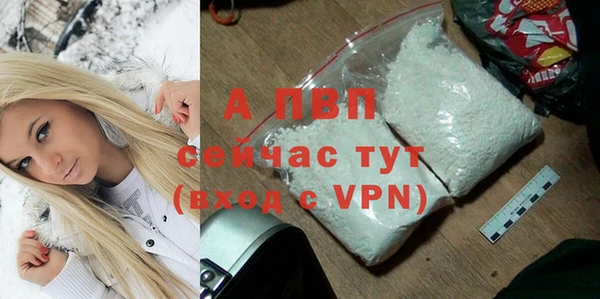 Альфа ПВП Гусиноозёрск