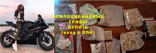 a pvp Гусь-Хрустальный