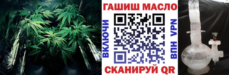 Дистиллят ТГК THC oil  как найти наркотики  Новоржев 