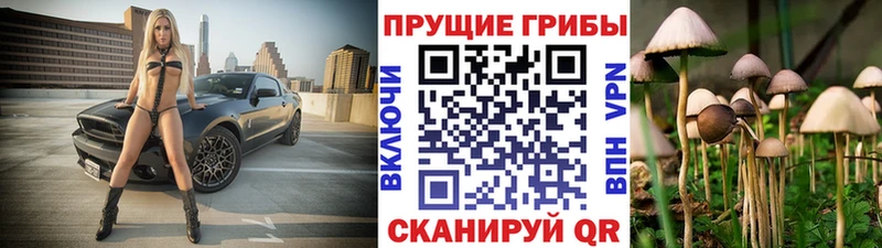 Псилоцибиновые грибы MAGIC MUSHROOMS  Новоржев 